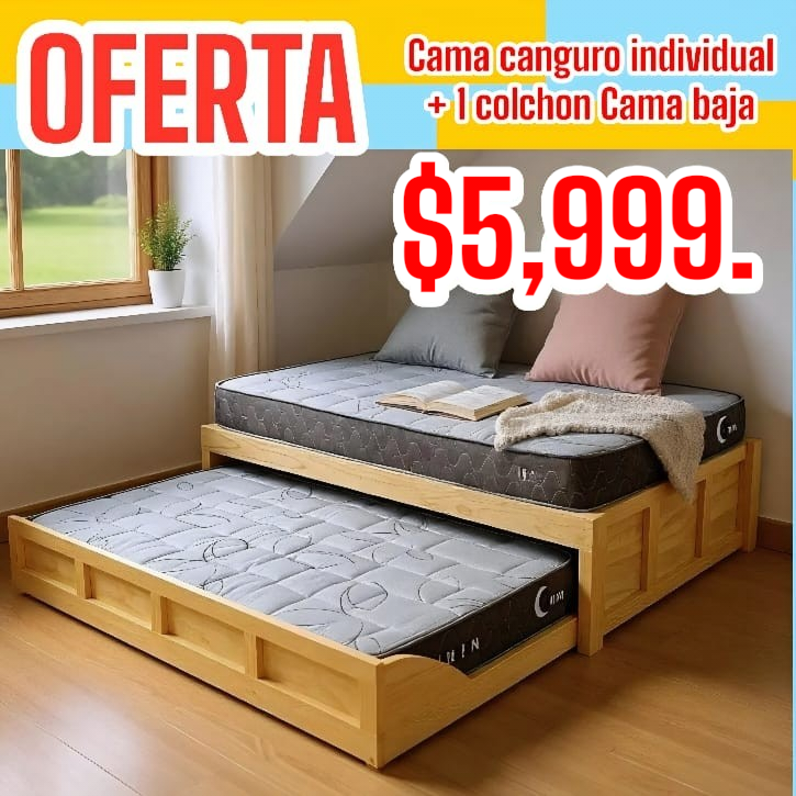 OFERTA..... duplex individual-especial incluye 1 colchon cama baja especial